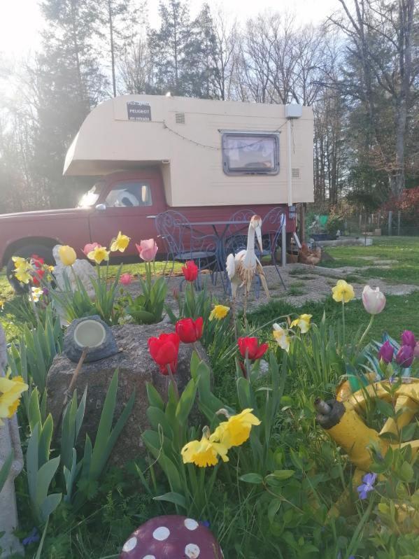 Le Pick Up 403 Vintage Hotel Oradour-sur-Glane Buitenkant foto
